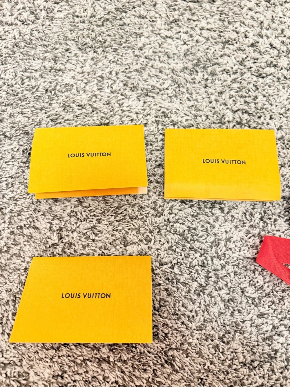 Louis Vuitton authentic louis